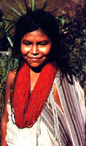 KogiMujer